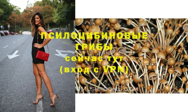 ПСИЛОЦИБИНОВЫЕ ГРИБЫ Усмань