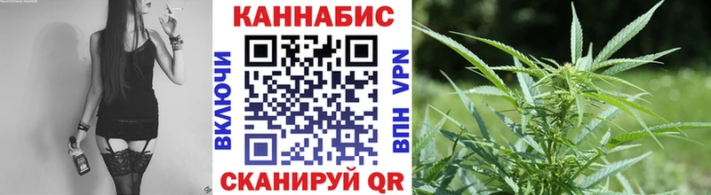 Бошки Шишки ГИДРОПОН Энем